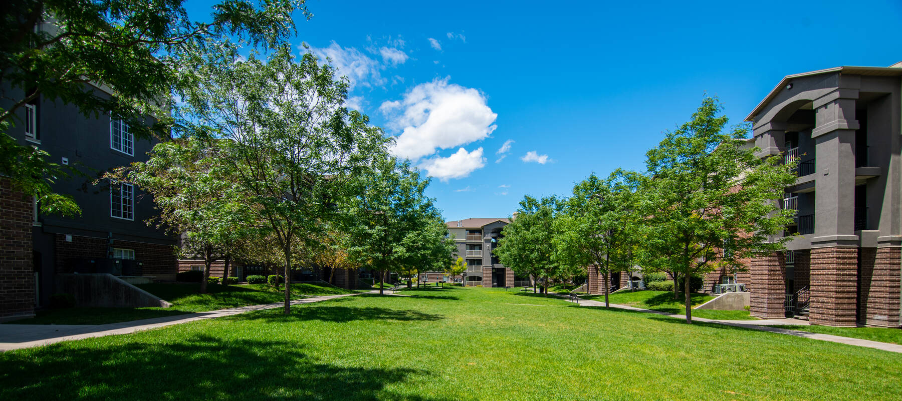 Building exterior with tree lined sidewalk, view of private balconies.